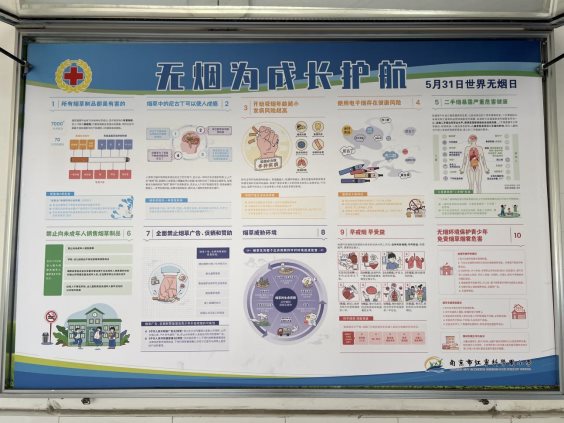 南京市江宁科学园小学开展世界无烟日活动1