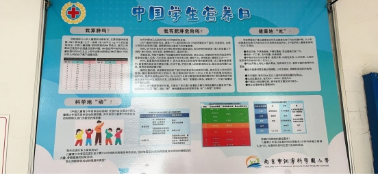 南京市江宁科学园小学开展中国学生营养日宣传活动1
